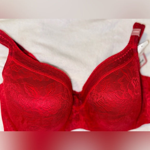 Lane Bryant Red Lace Bra - Picture 4 of 15